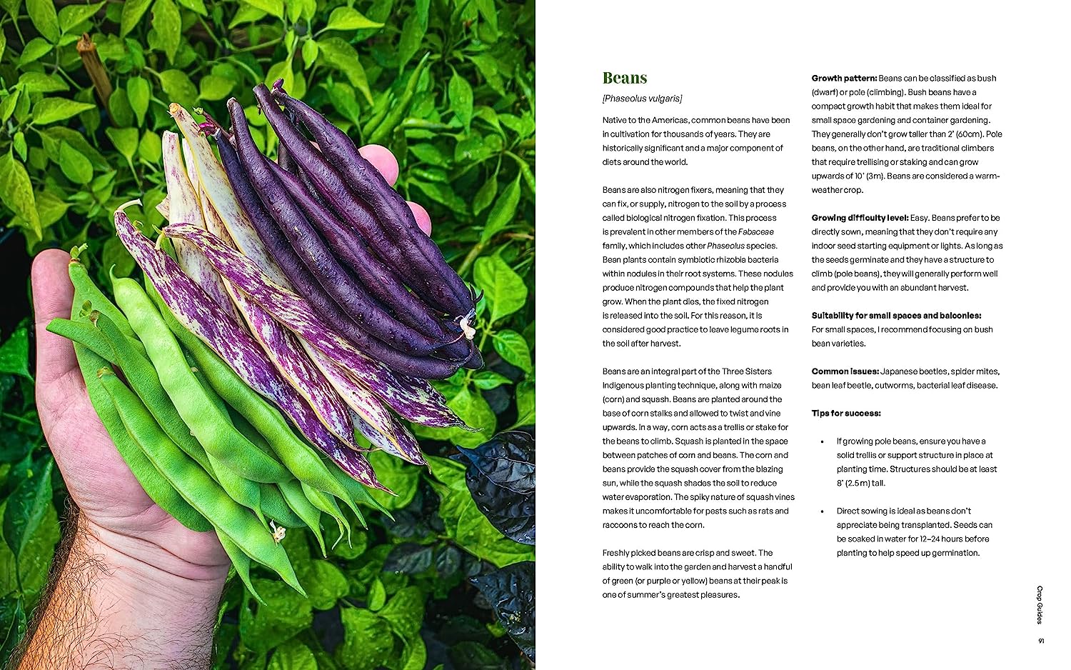 Seed to Table - Image 2
