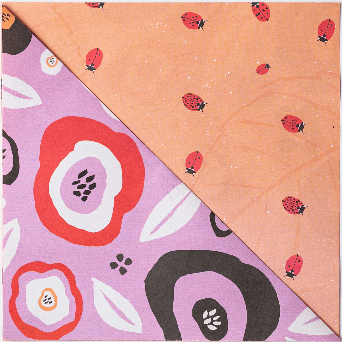 Eco Wrap: Seeds 'n Blooms - Image 3