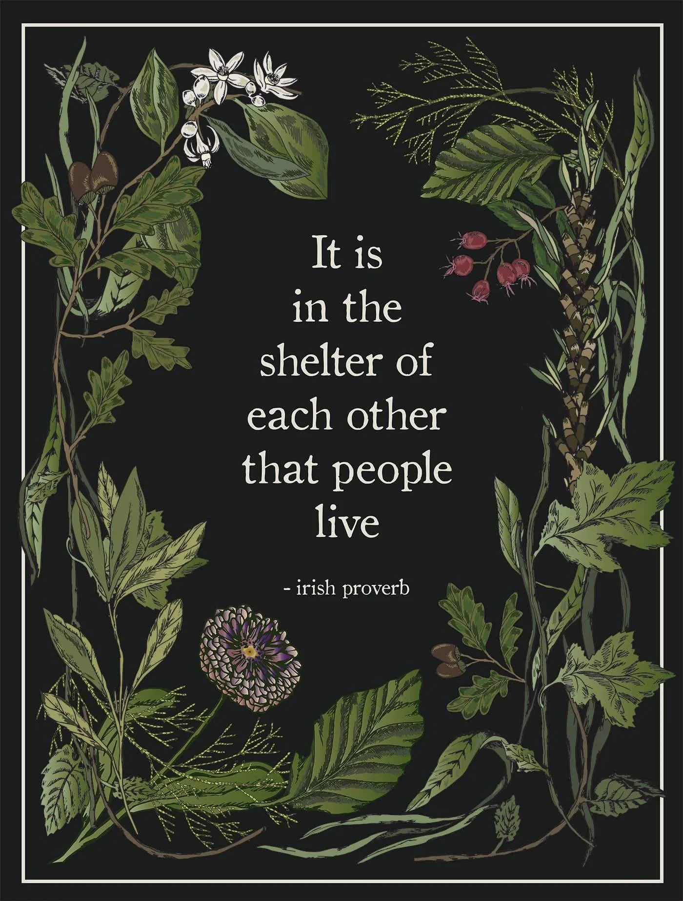 Shelter Art Print - Black