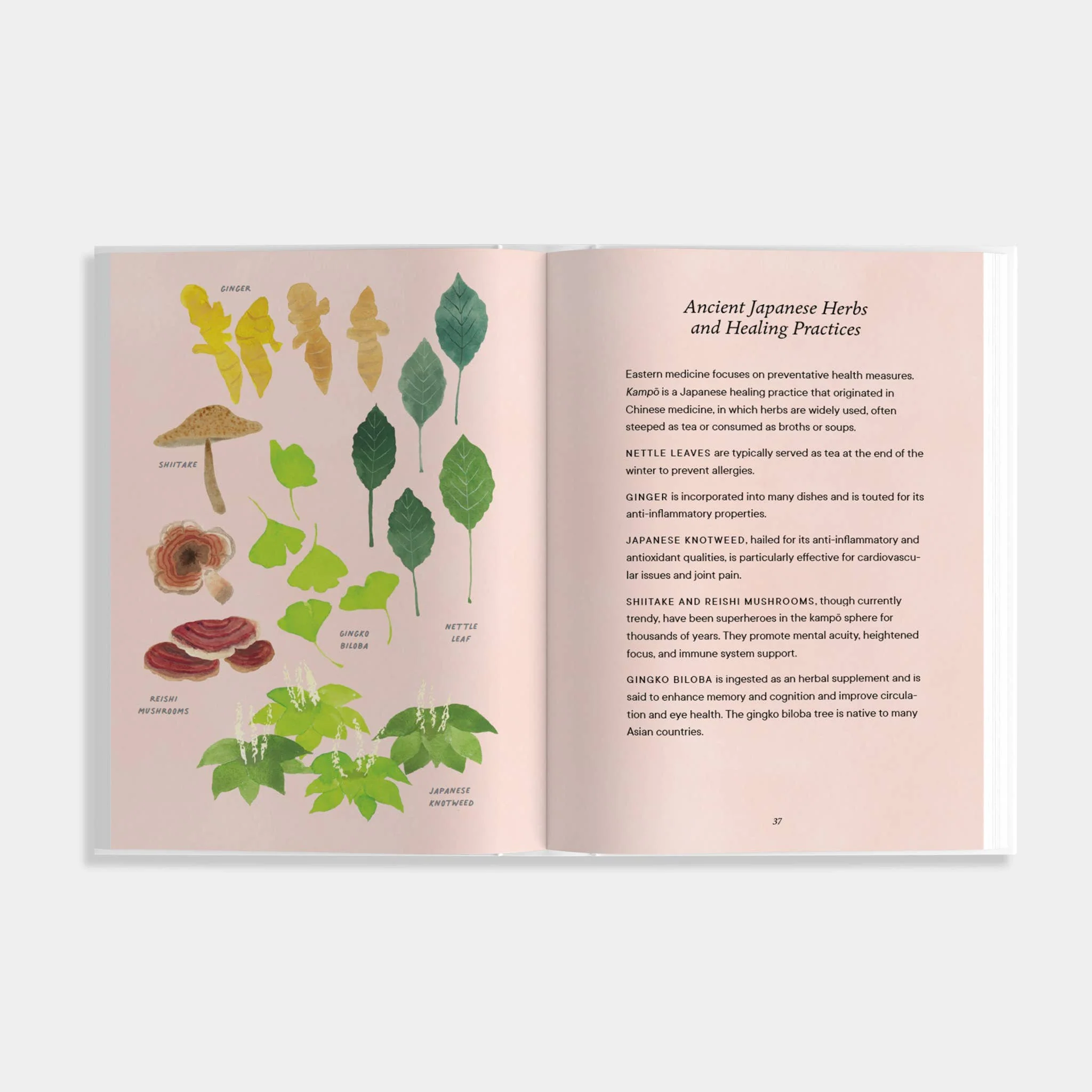 Shibui: Embracing the Beauty of Aging - Image 2