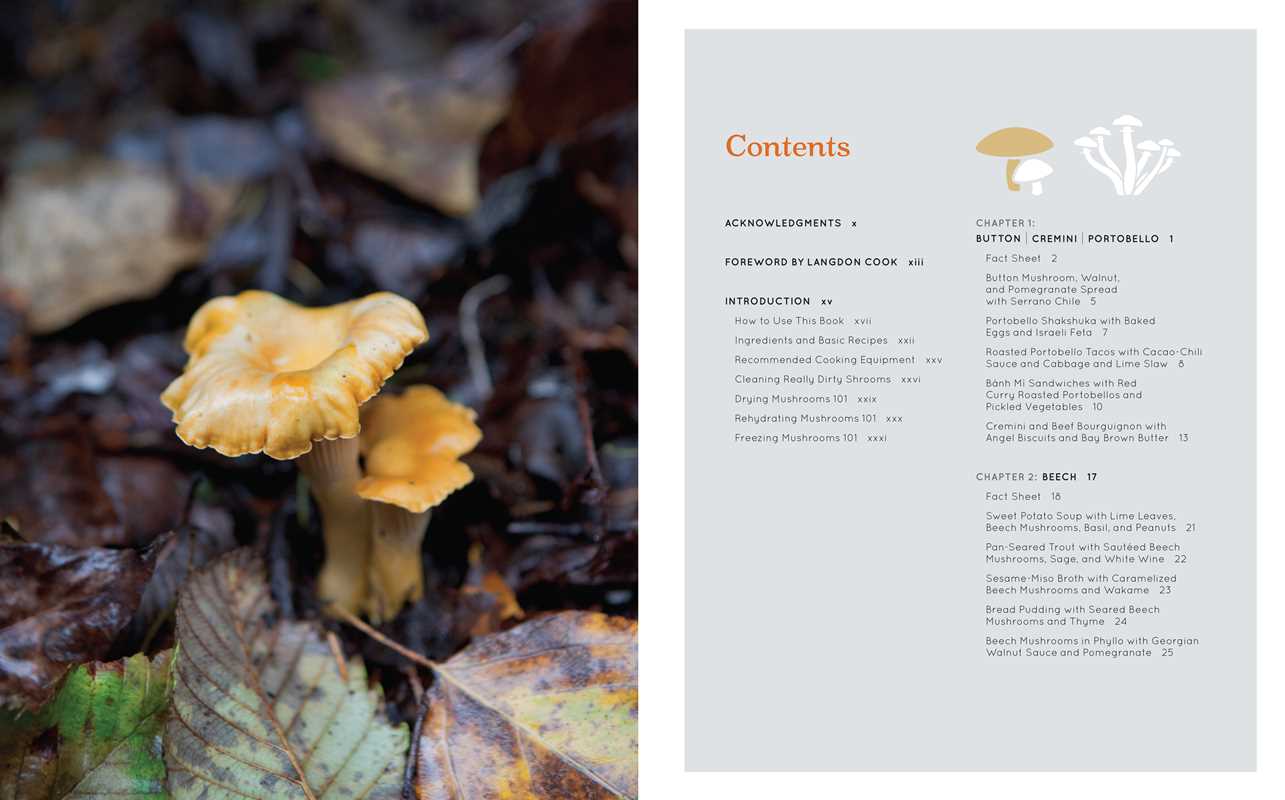 Shroom by Becky Selengut - Image 2