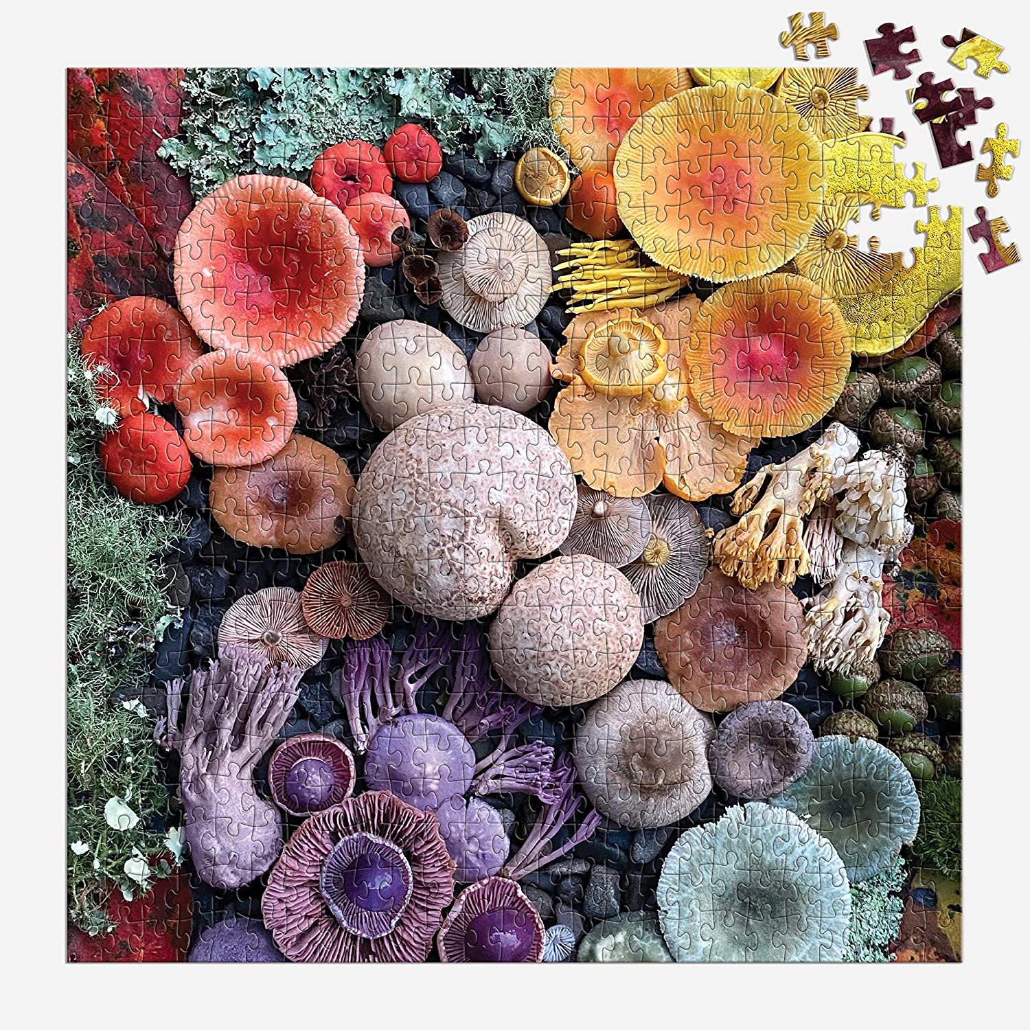 Shrooms in Bloom 500 Piece Puzzle - Image 2