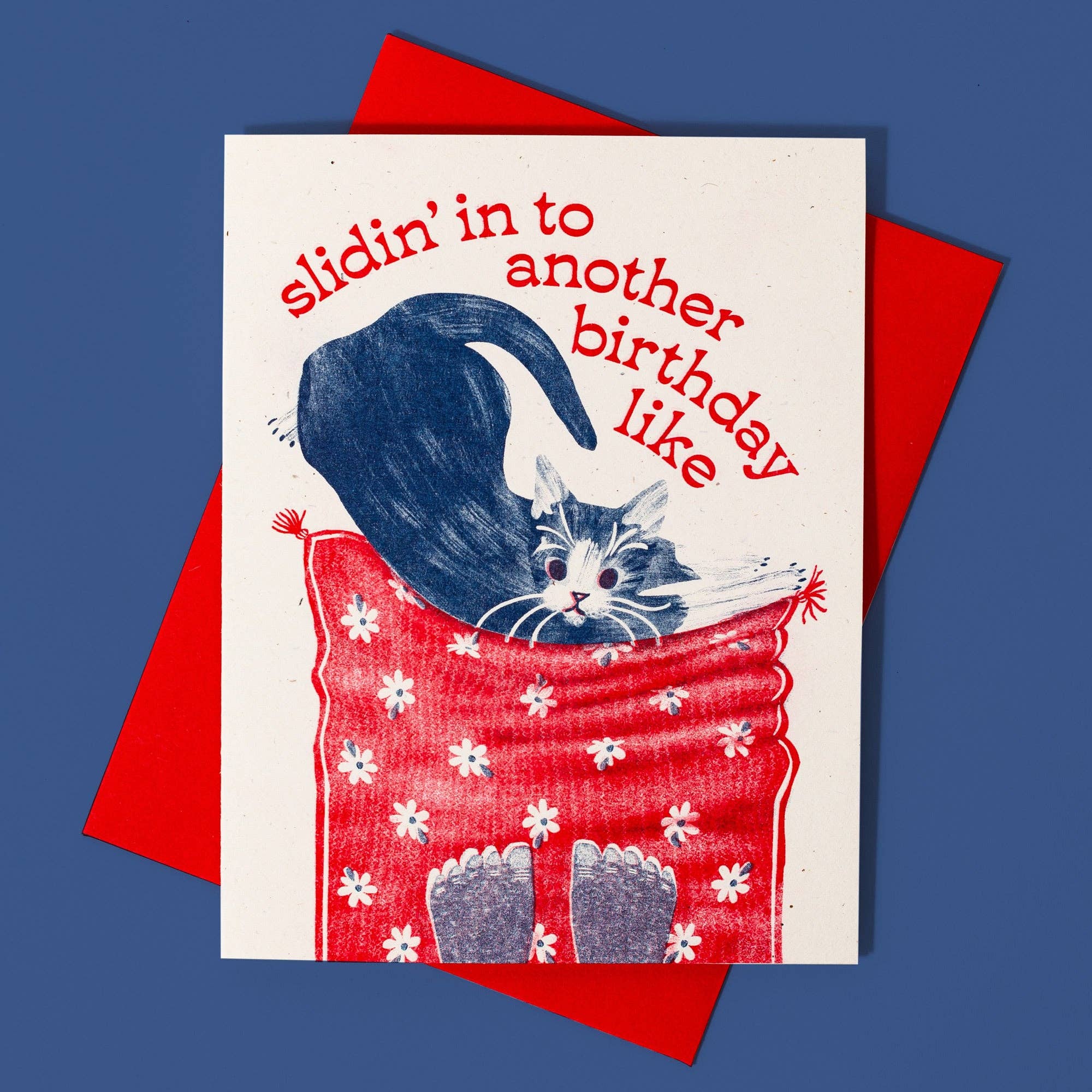 Slidin' In To Another Birthday Card - Image 2
