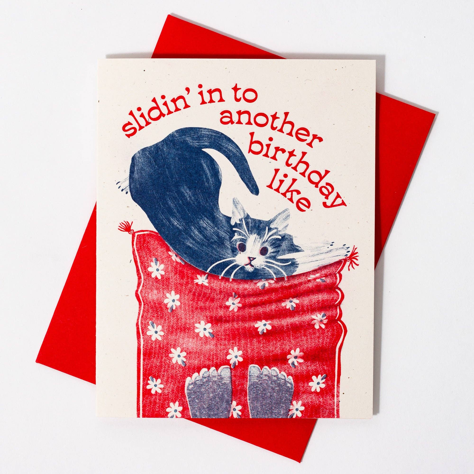 Slidin' In To Another Birthday Card - Image 3