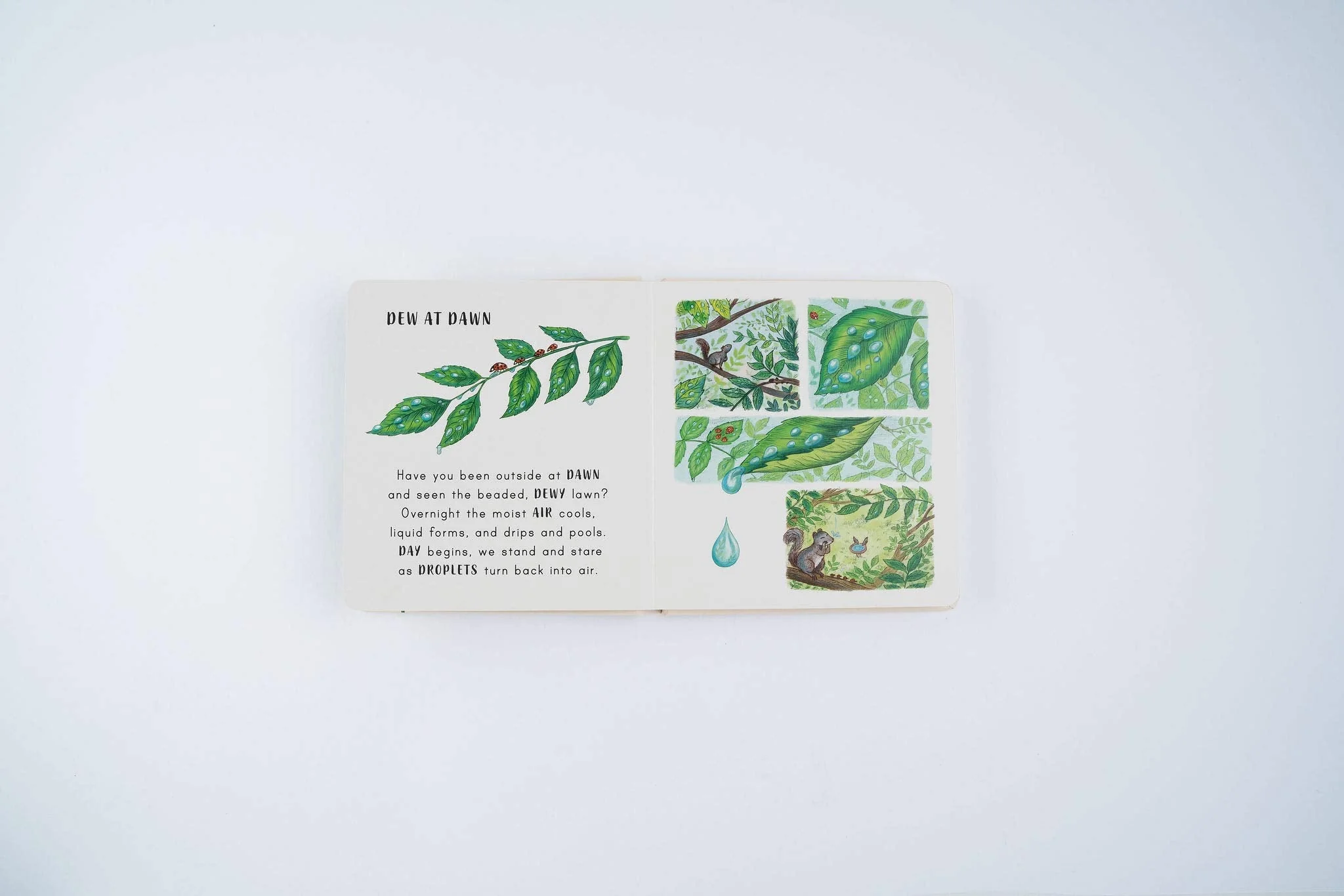 Slow Down on Your Doorstep - Image 2