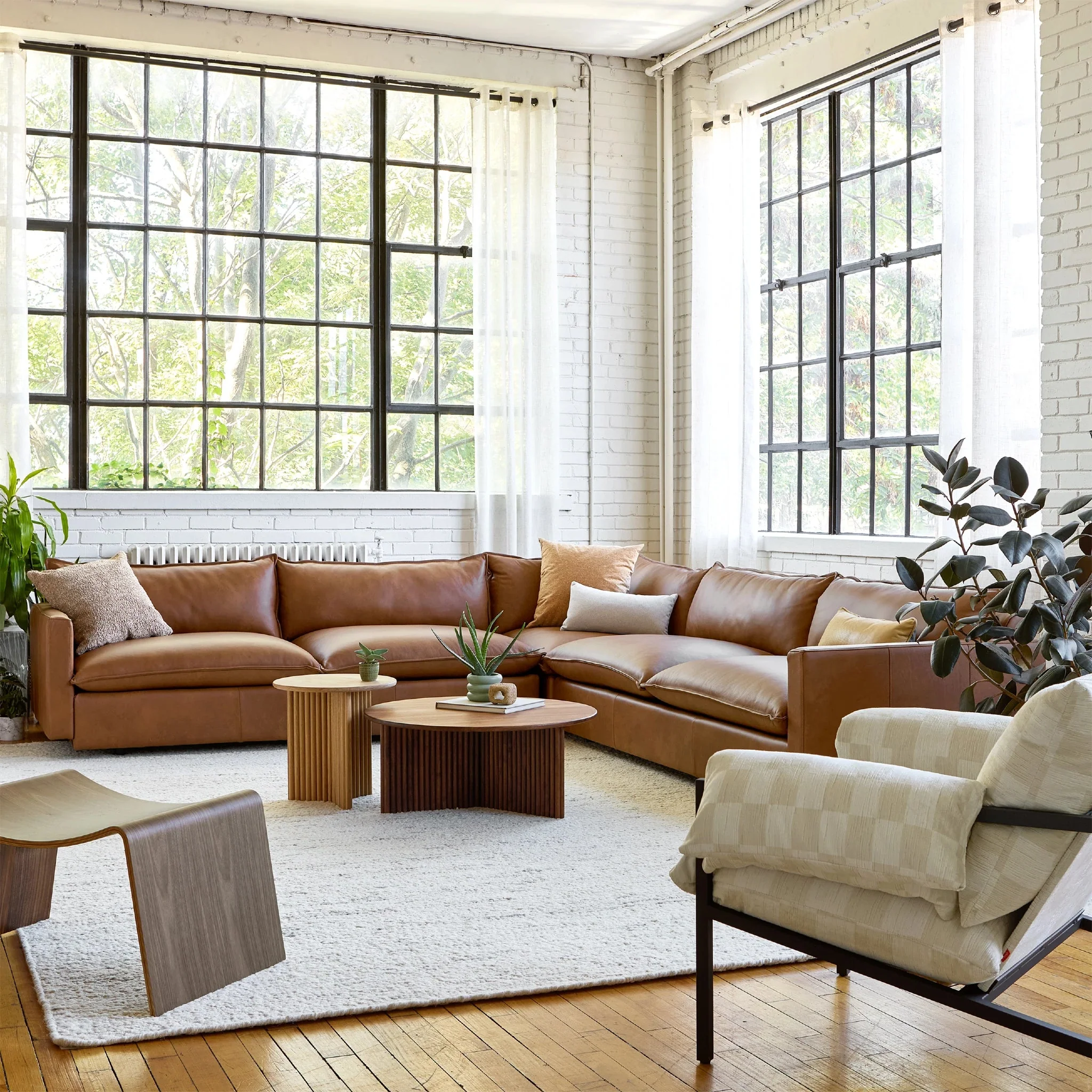 Sola Bi-Sectional - Image 17