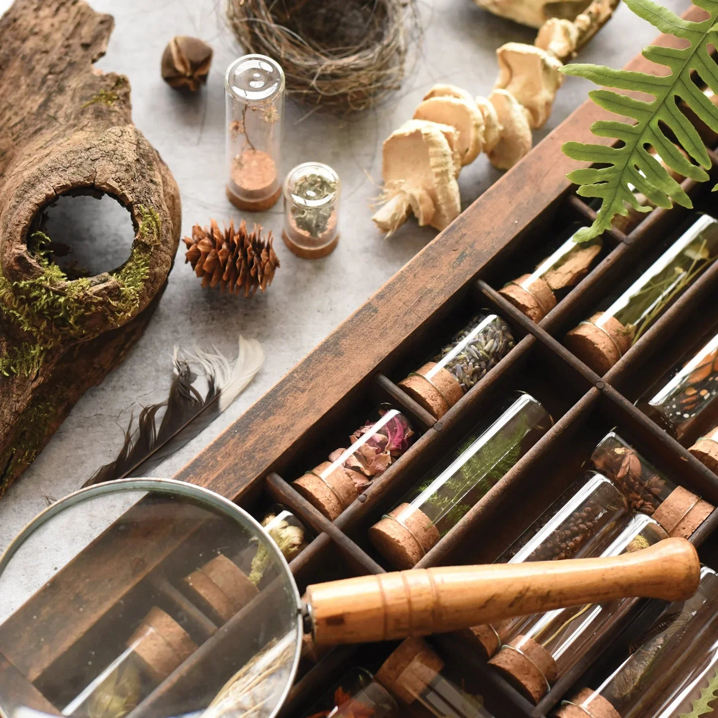 Specimen Collecting Kit - Image 3