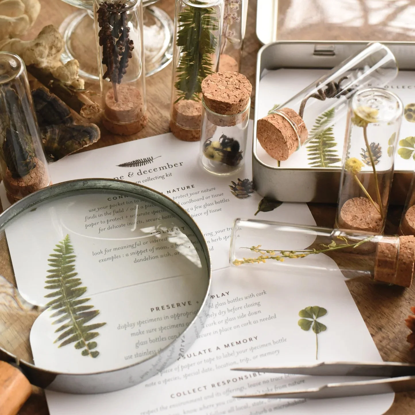 Specimen Collecting Kit - Image 5