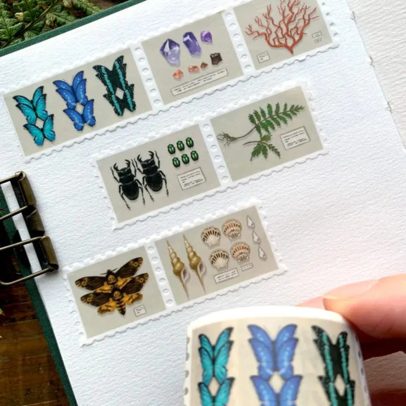 Specimen Drawer Stamp Washi Tape - Image 2