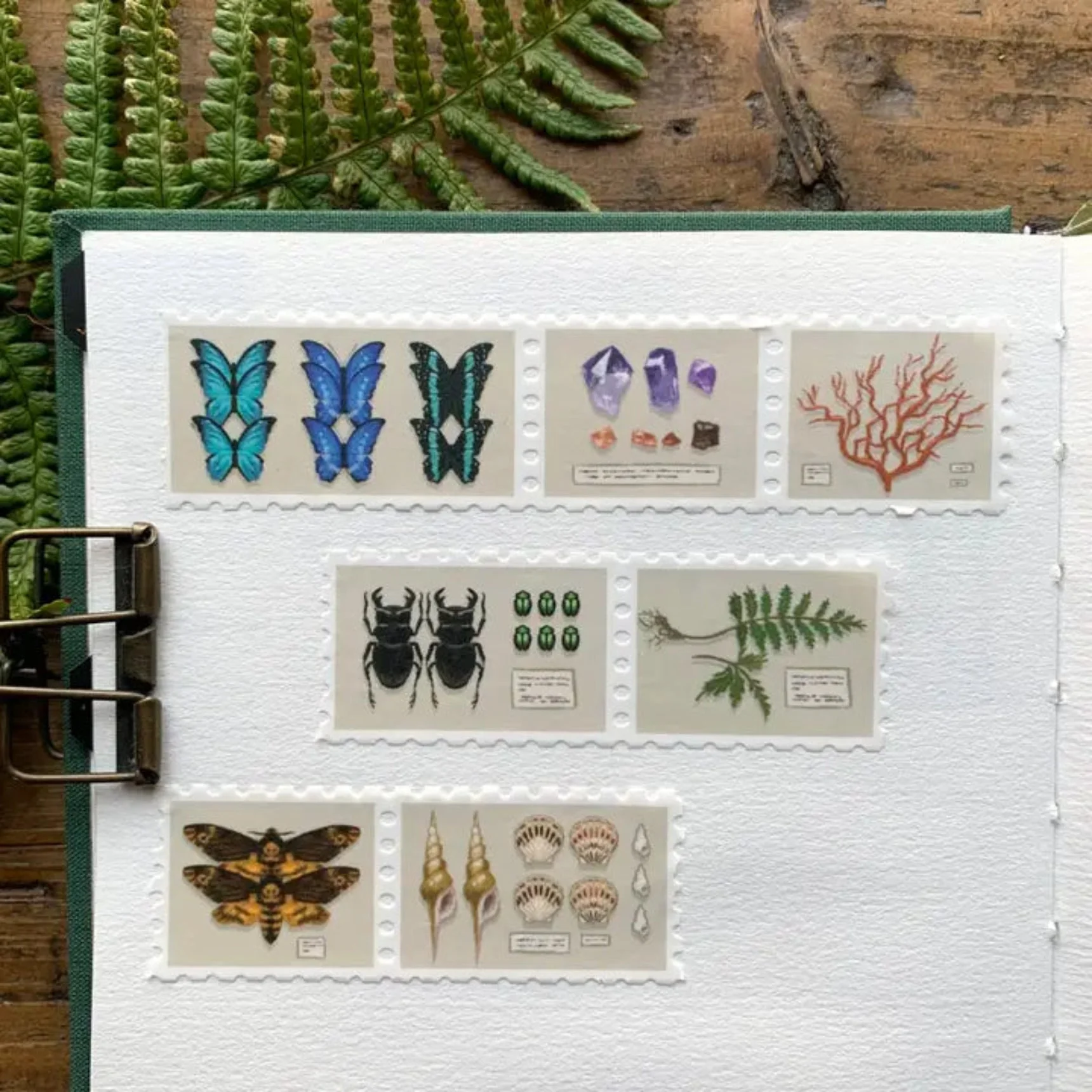 Specimen Drawer Stamp Washi Tape - Image 3