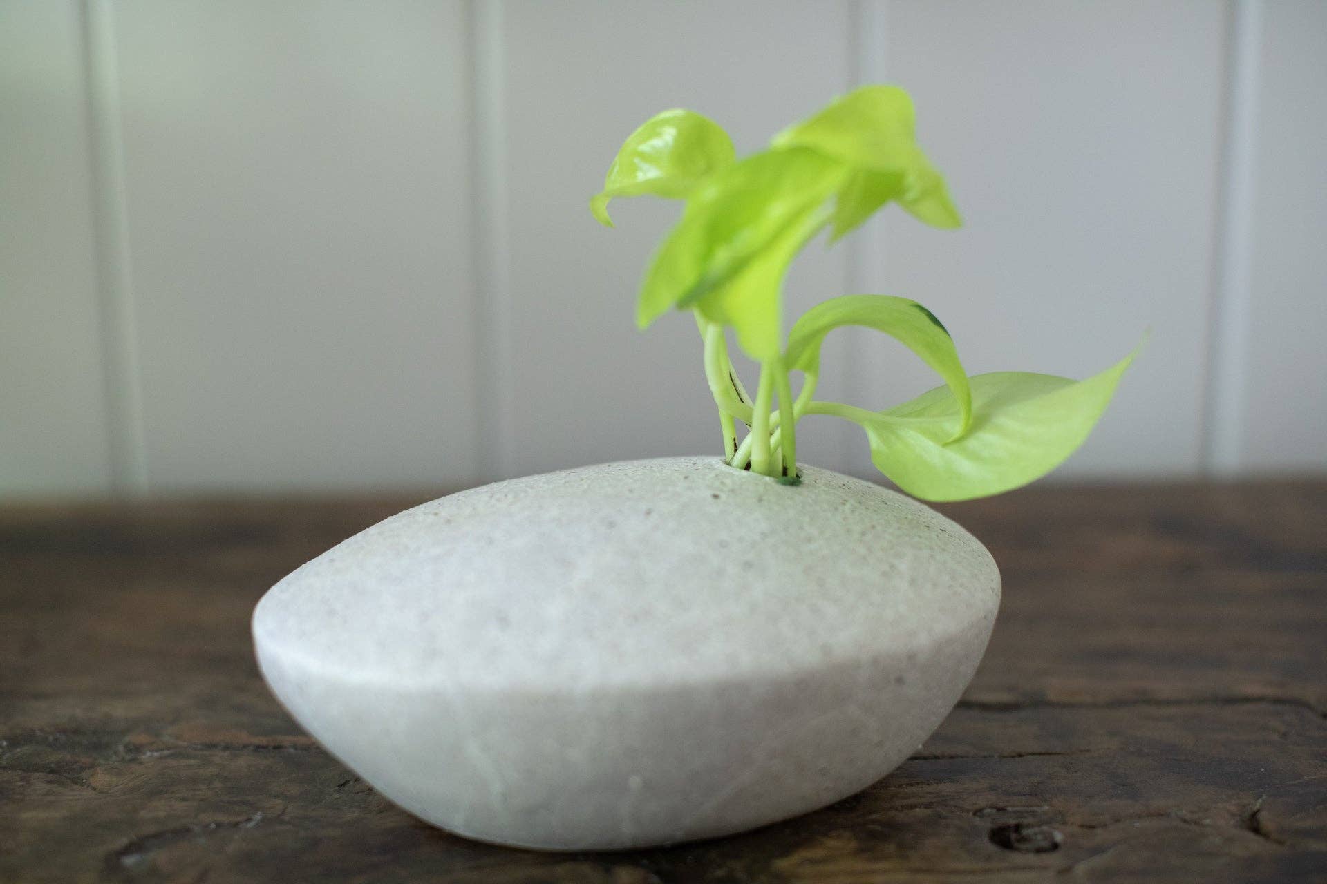 Speckled Ceramic Single Pod Vase - Image 2