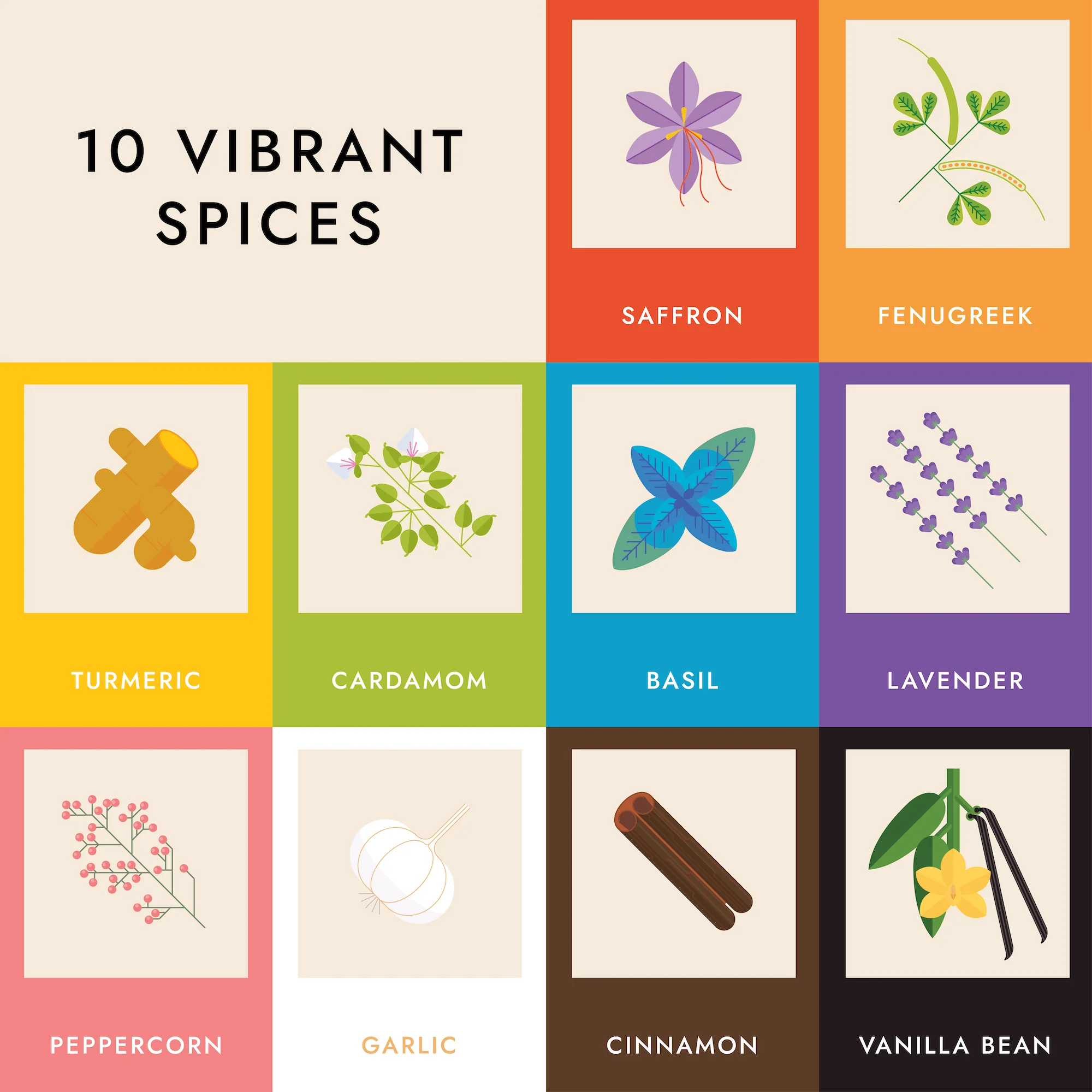 Spice Rainbow Board Book - Image 3