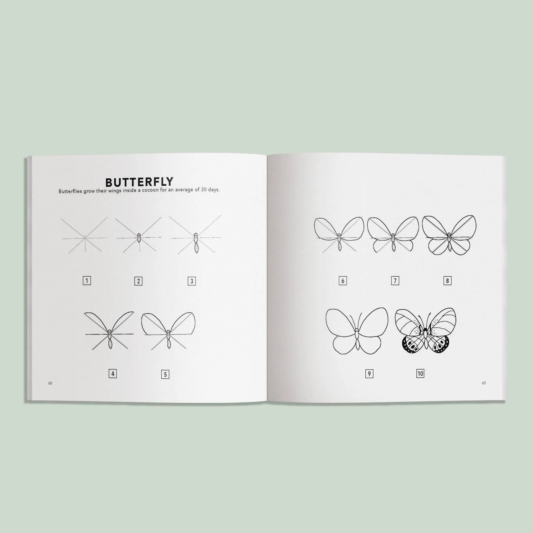 How to Draw Spring Things for Kids - Image 3