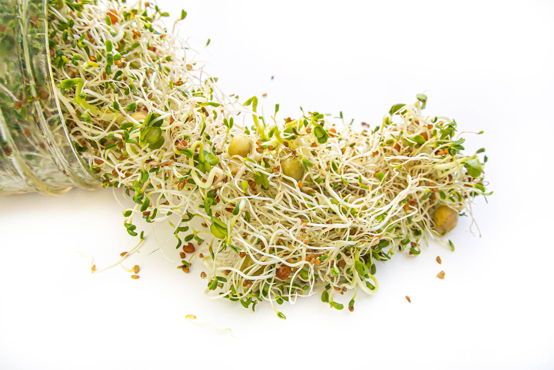 Sprouting Starter Kit - Image 3