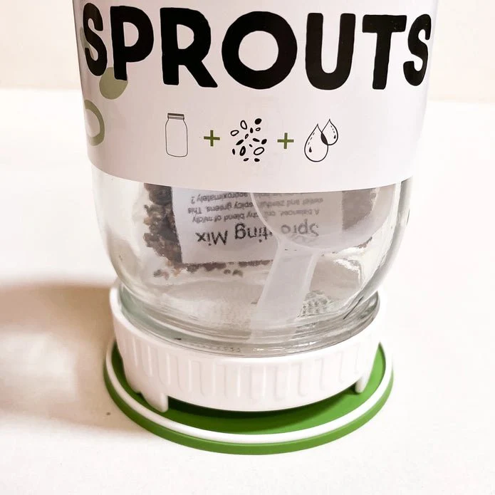Sprouting Starter Kit - Image 4