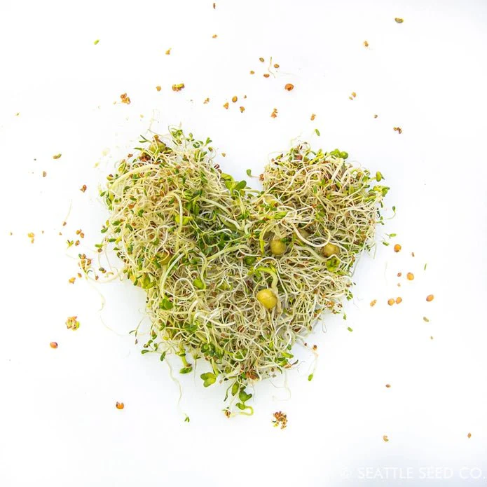 Sprouting Starter Kit - Image 5