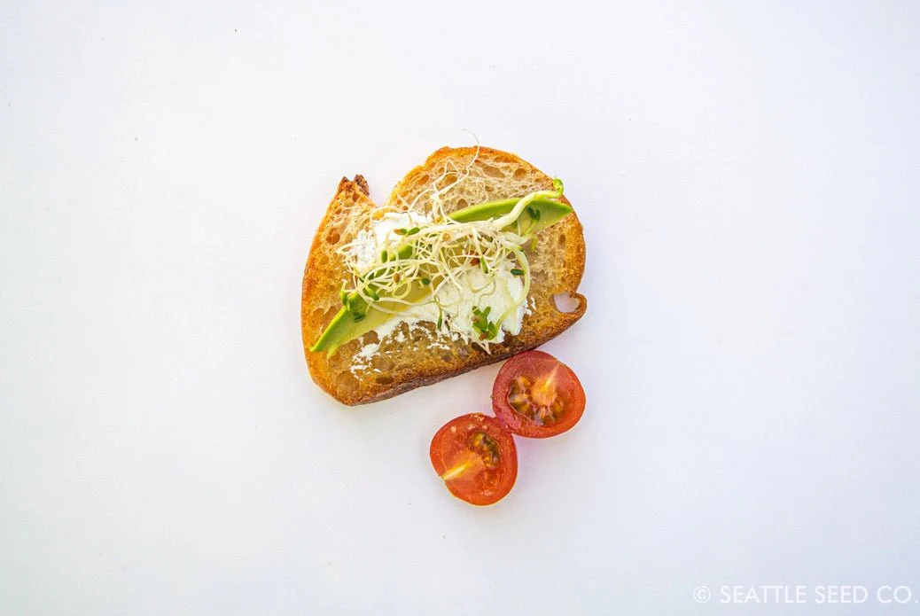 Sprouting Starter Kit - Image 6