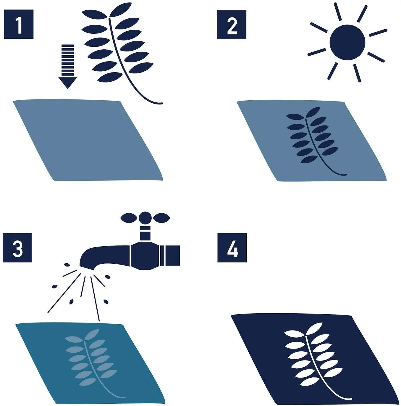 Sunography Paper - Image 2