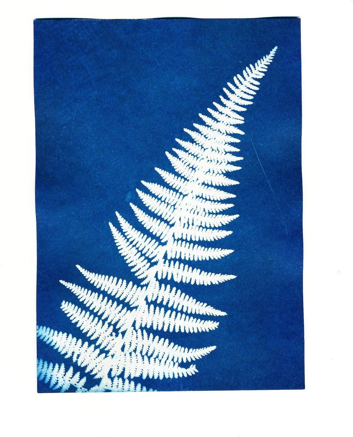 Sunography Paper - Image 3