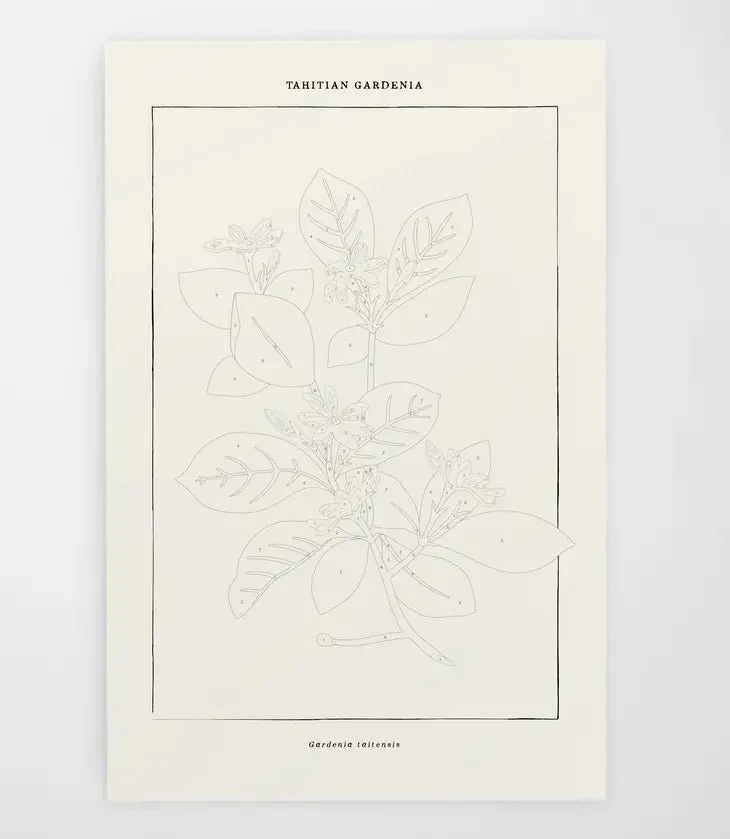 Modern Paint By Numbers Kit: Tahitian Botanical - Image 3