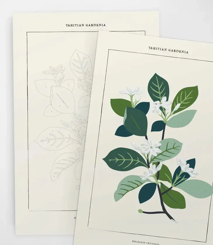 Modern Paint By Numbers Kit: Tahitian Botanical - Image 4