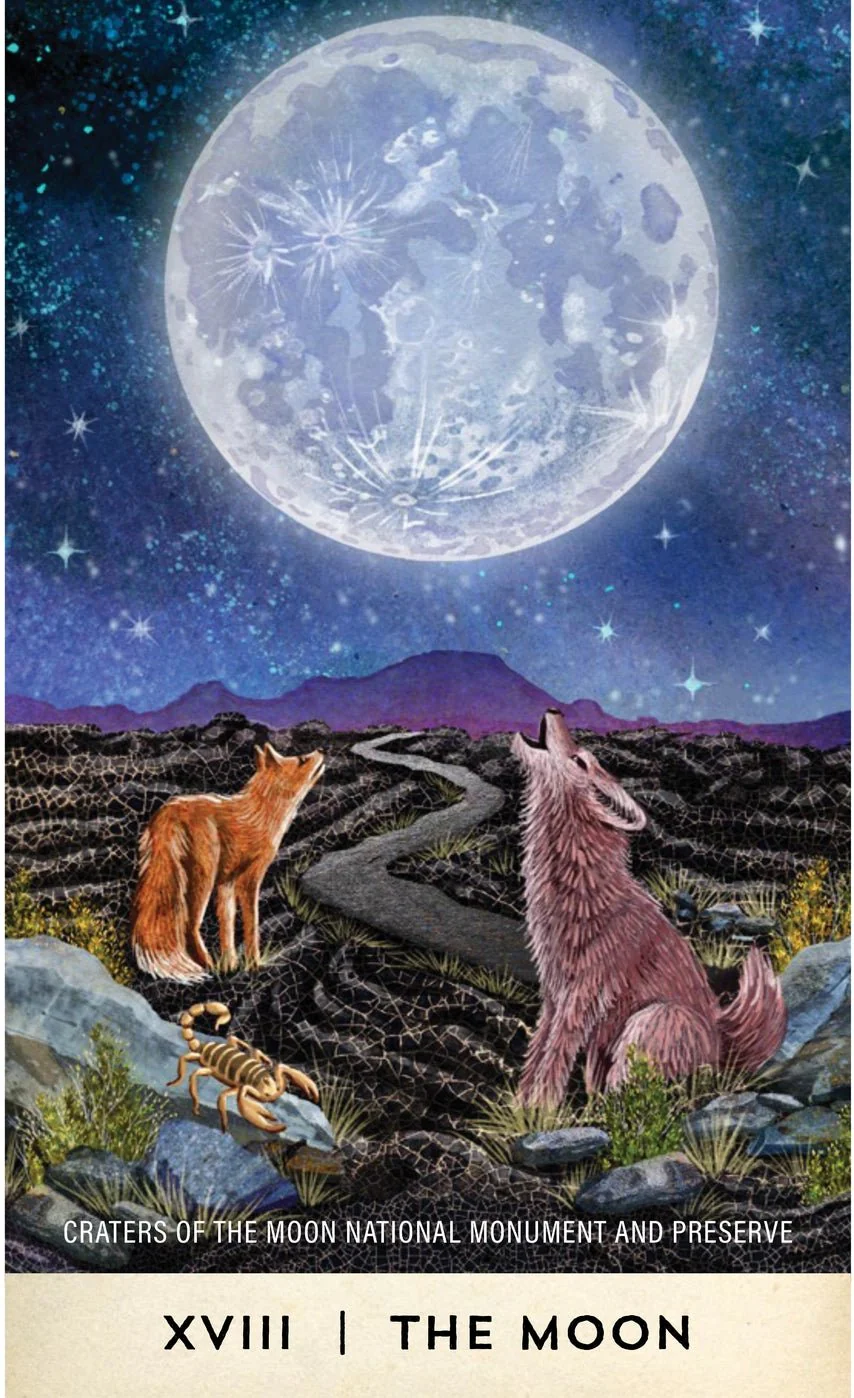 Tarot for the Great Outdoors - Image 3