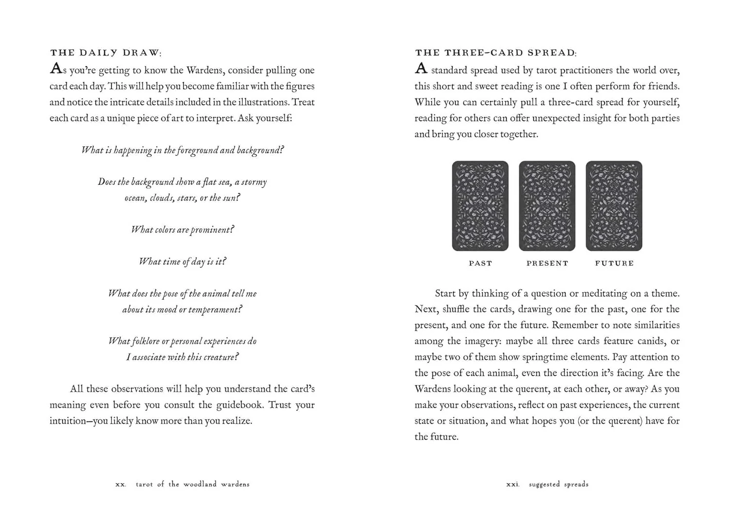 Tarot of the Woodland Wardens - Image 11