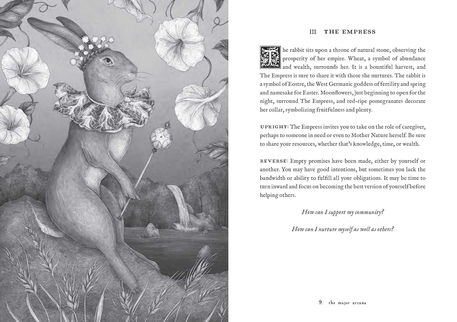 Tarot of the Woodland Wardens - Image 12