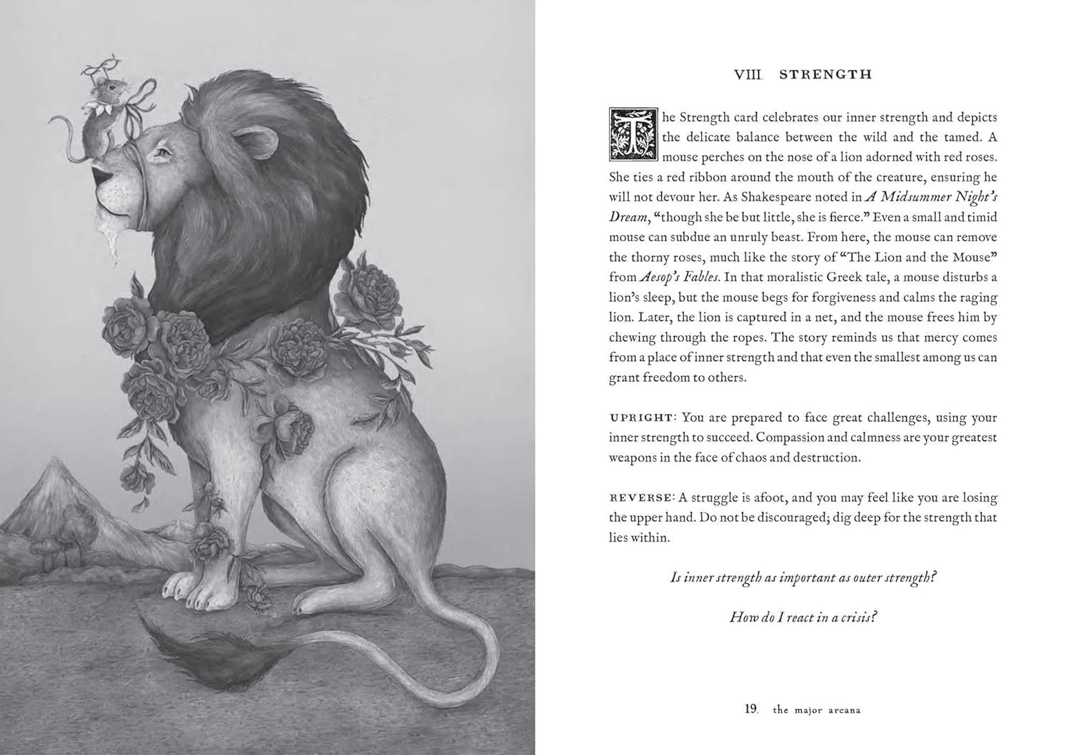 Tarot of the Woodland Wardens - Image 9