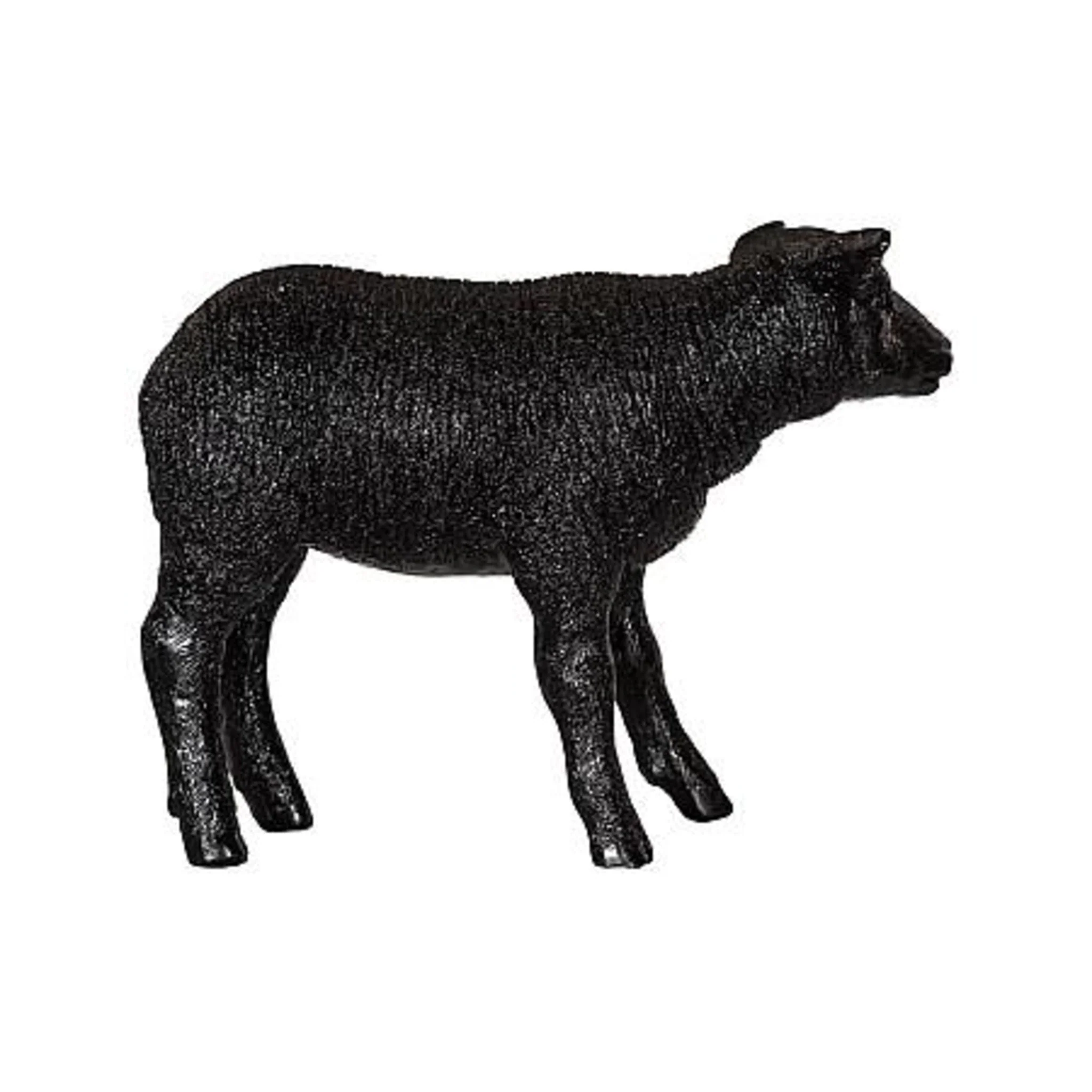 Texelaar Sheep Lamb - Image 12