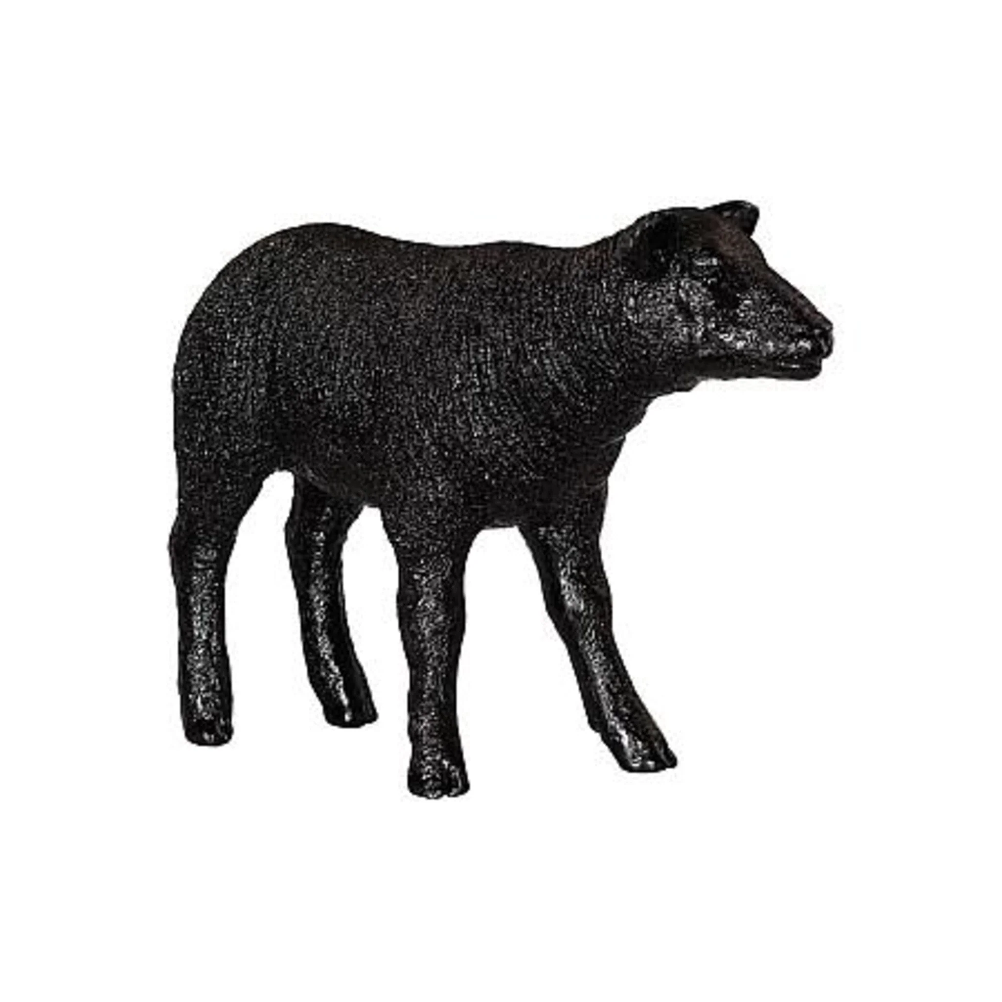 Texelaar Sheep Lamb - Image 13