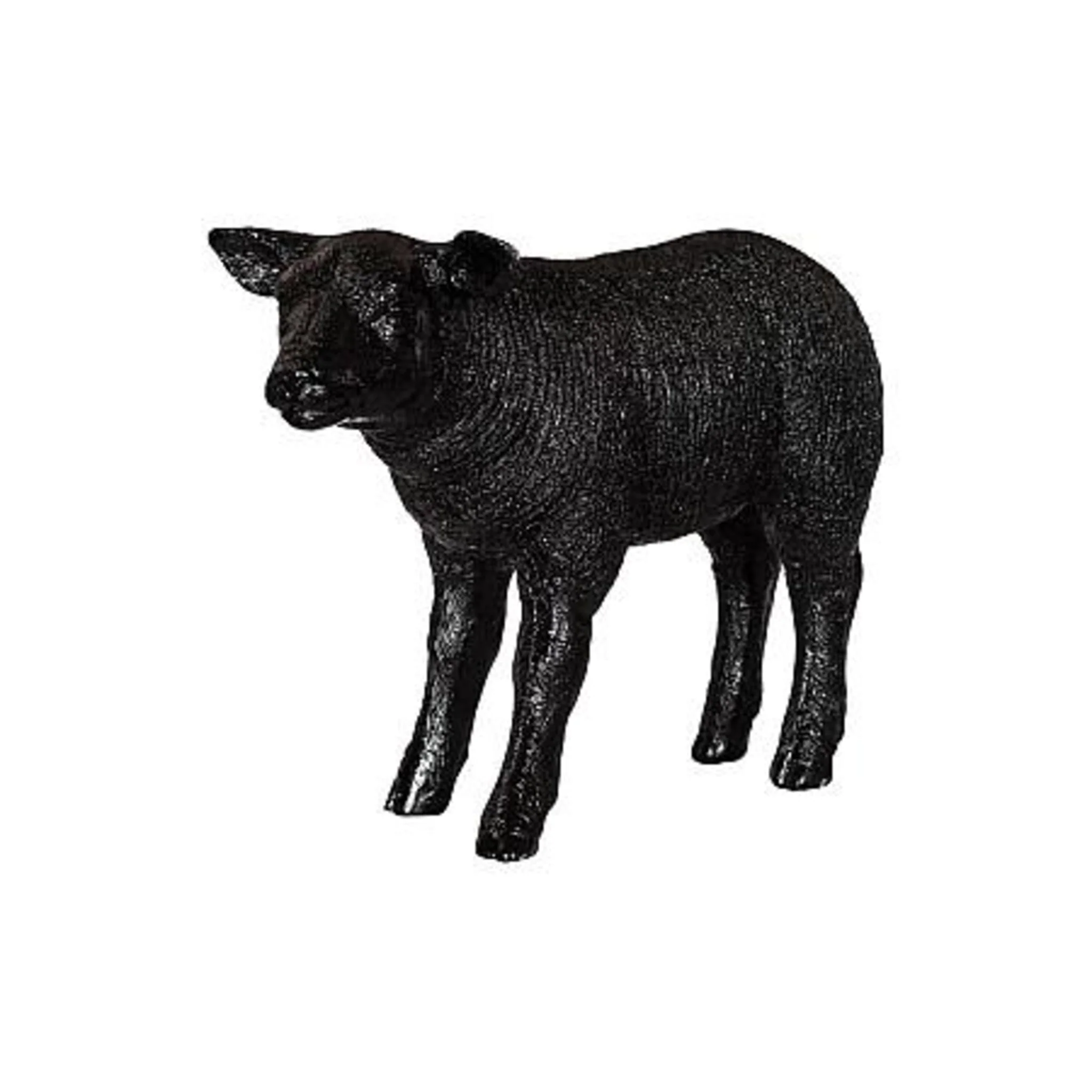 Texelaar Sheep Lamb - Image 2