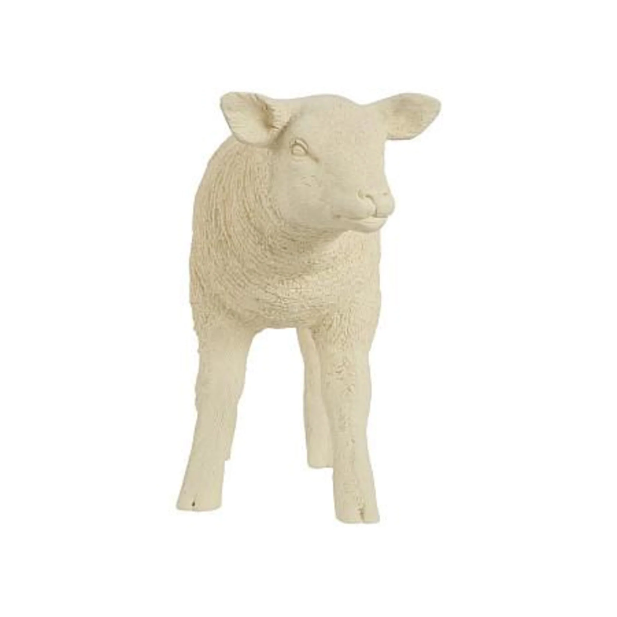 Texelaar Sheep Lamb - Image 4