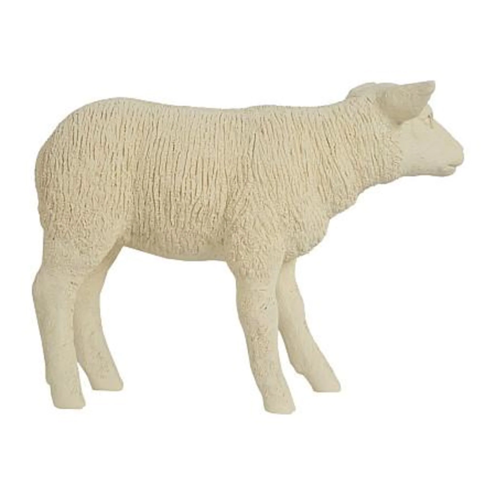 Texelaar Sheep Lamb - Image 5