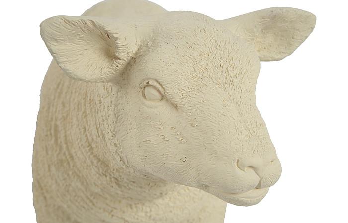 Texelaar Sheep Lamb - Image 6