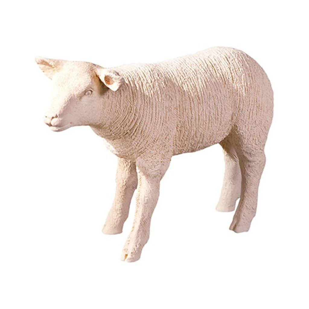 Texelaar Sheep Lamb - Image 7