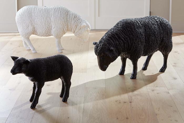 Texelaar Sheep Lamb - Image 9