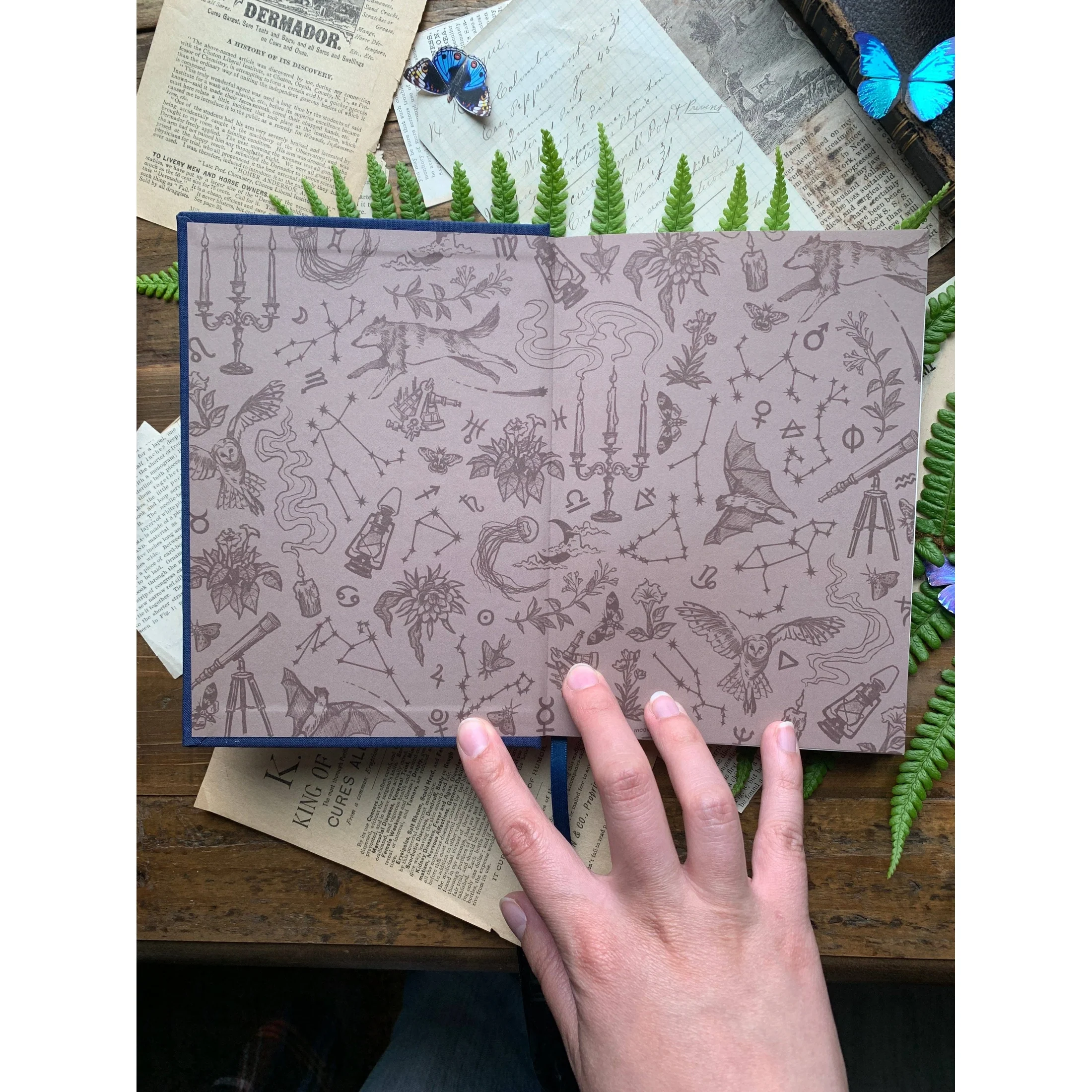The Astronomer Notebook - Image 3
