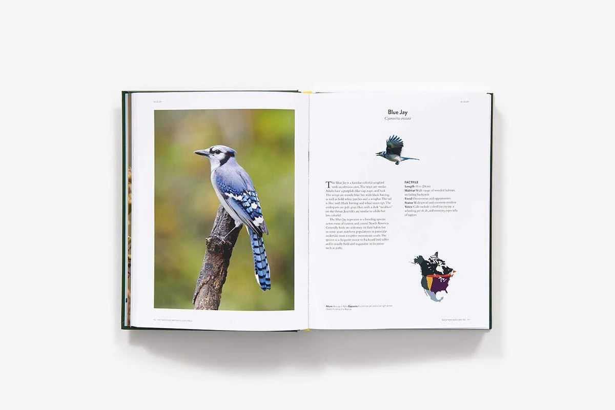 The Backyard Birdwatcher's Bible - Image 3