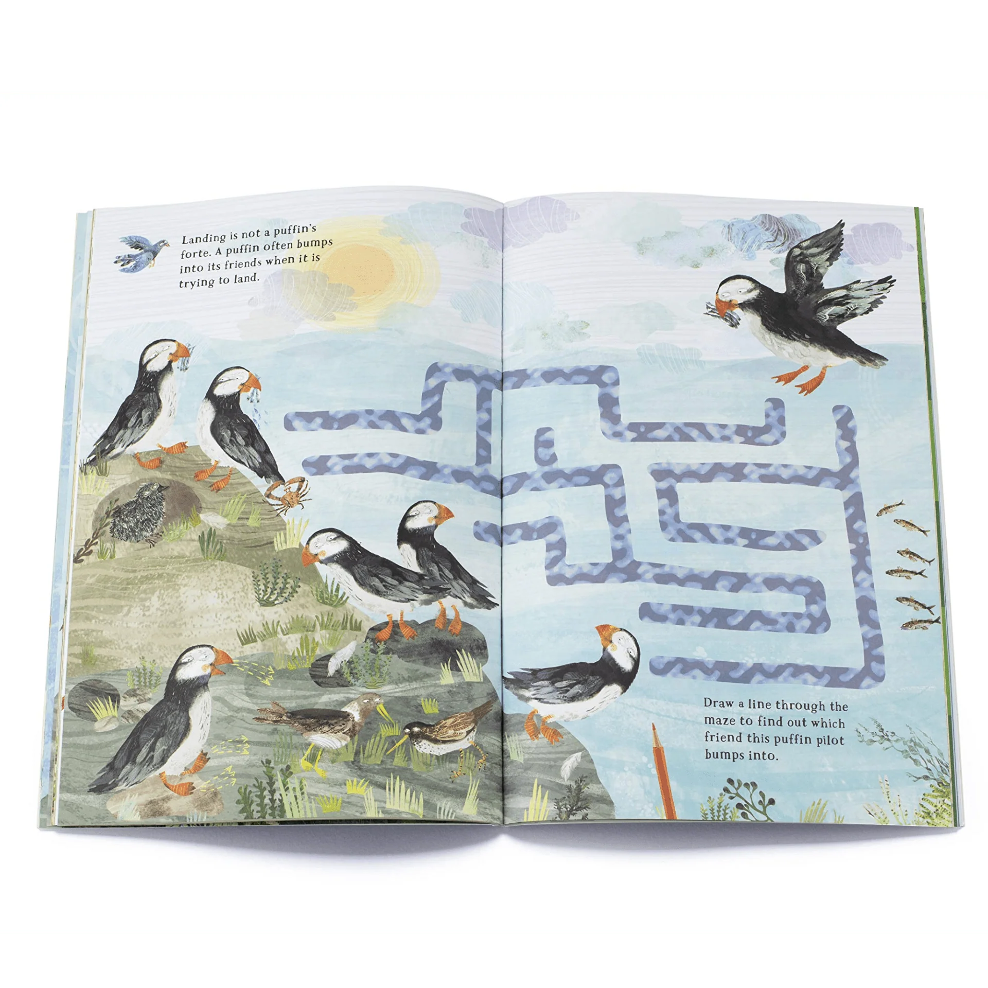The Big Sticker Book of Birds - Image 2