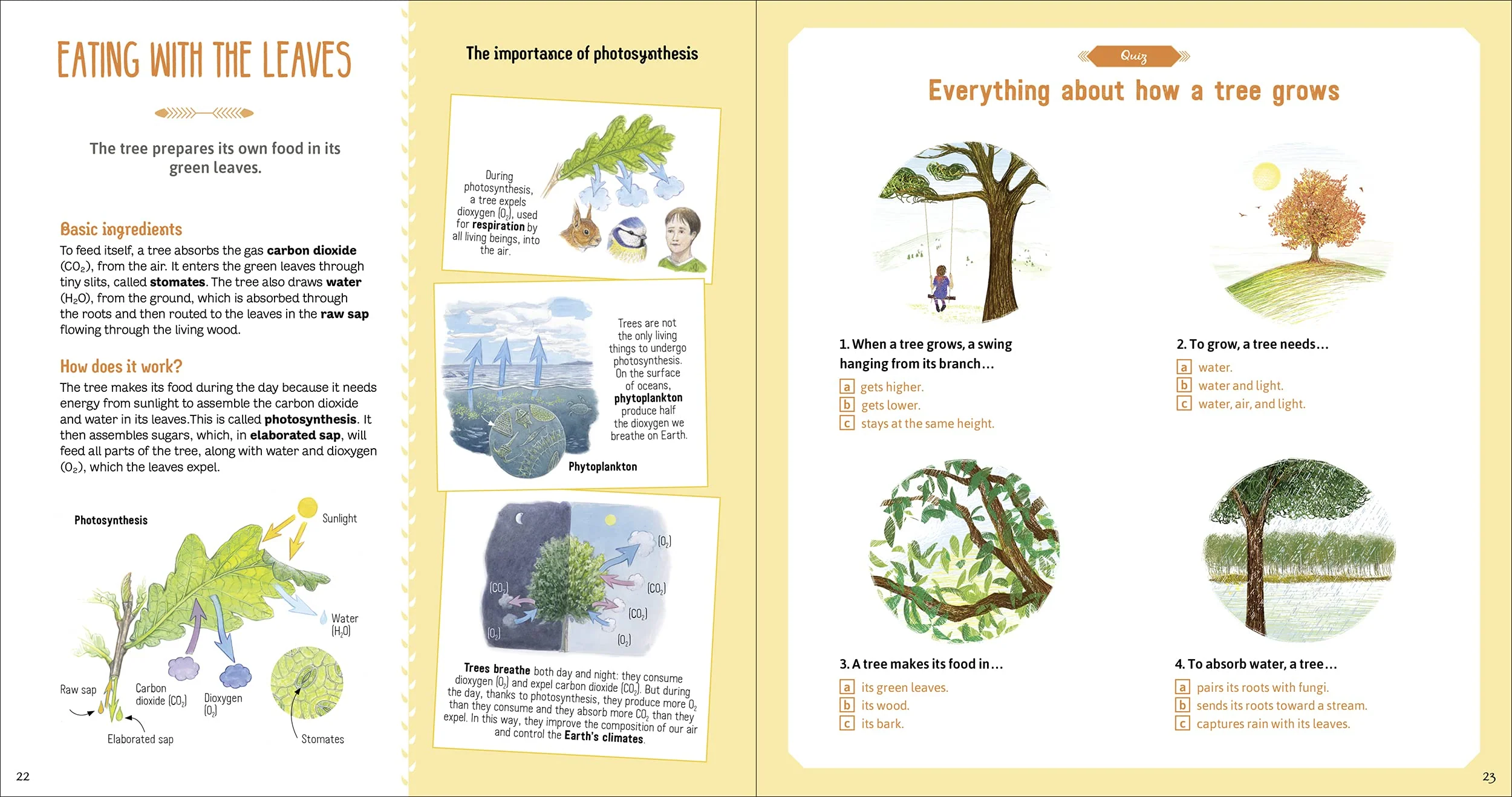 The Book of Amazing Trees - Image 3