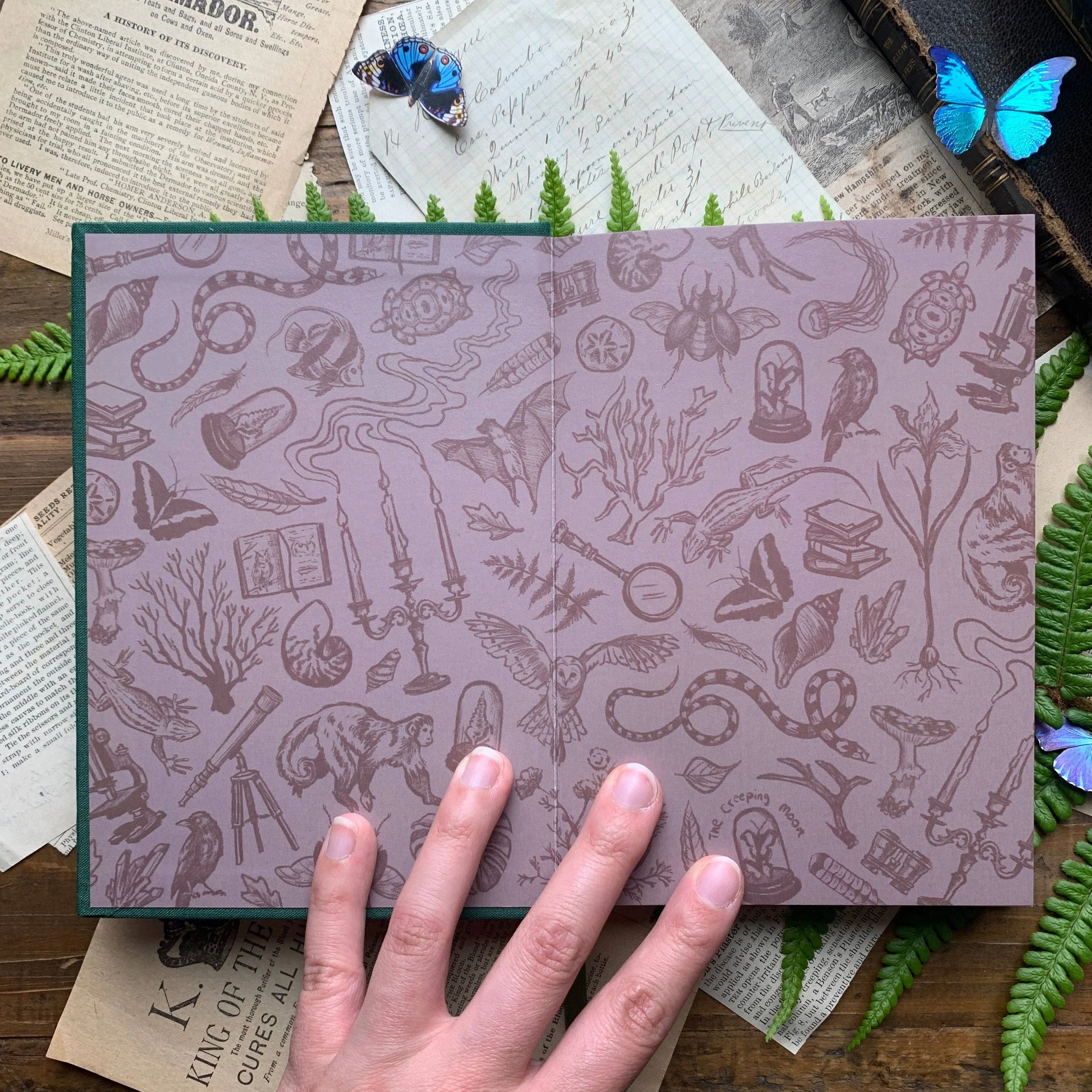 The Botanist Watercolor Notebook - Image 2
