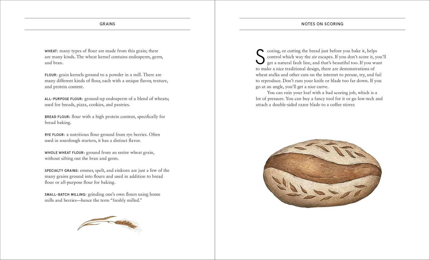 The Bread Baker's Notebook - Image 5