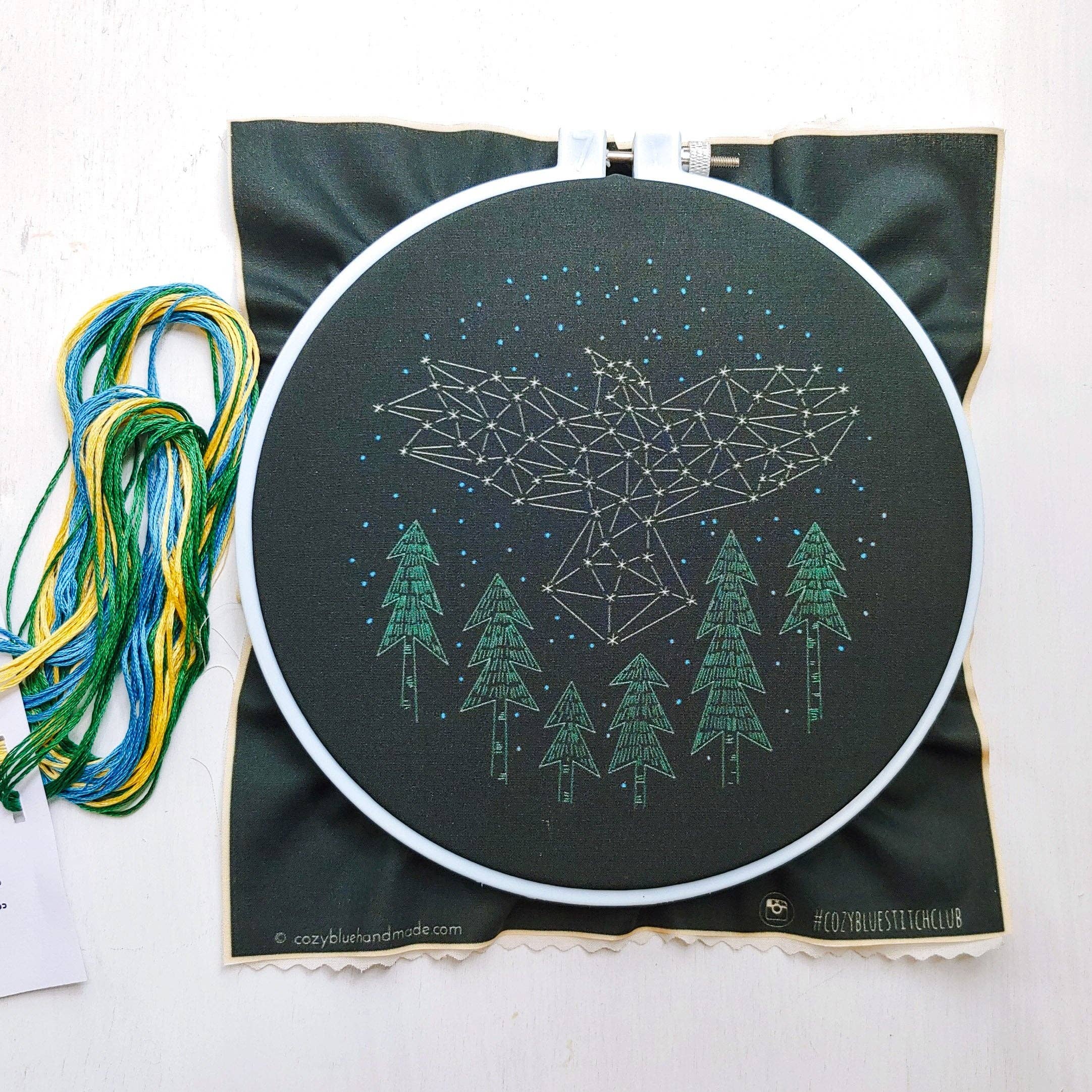The Crow Embroidery Kit - Image 3