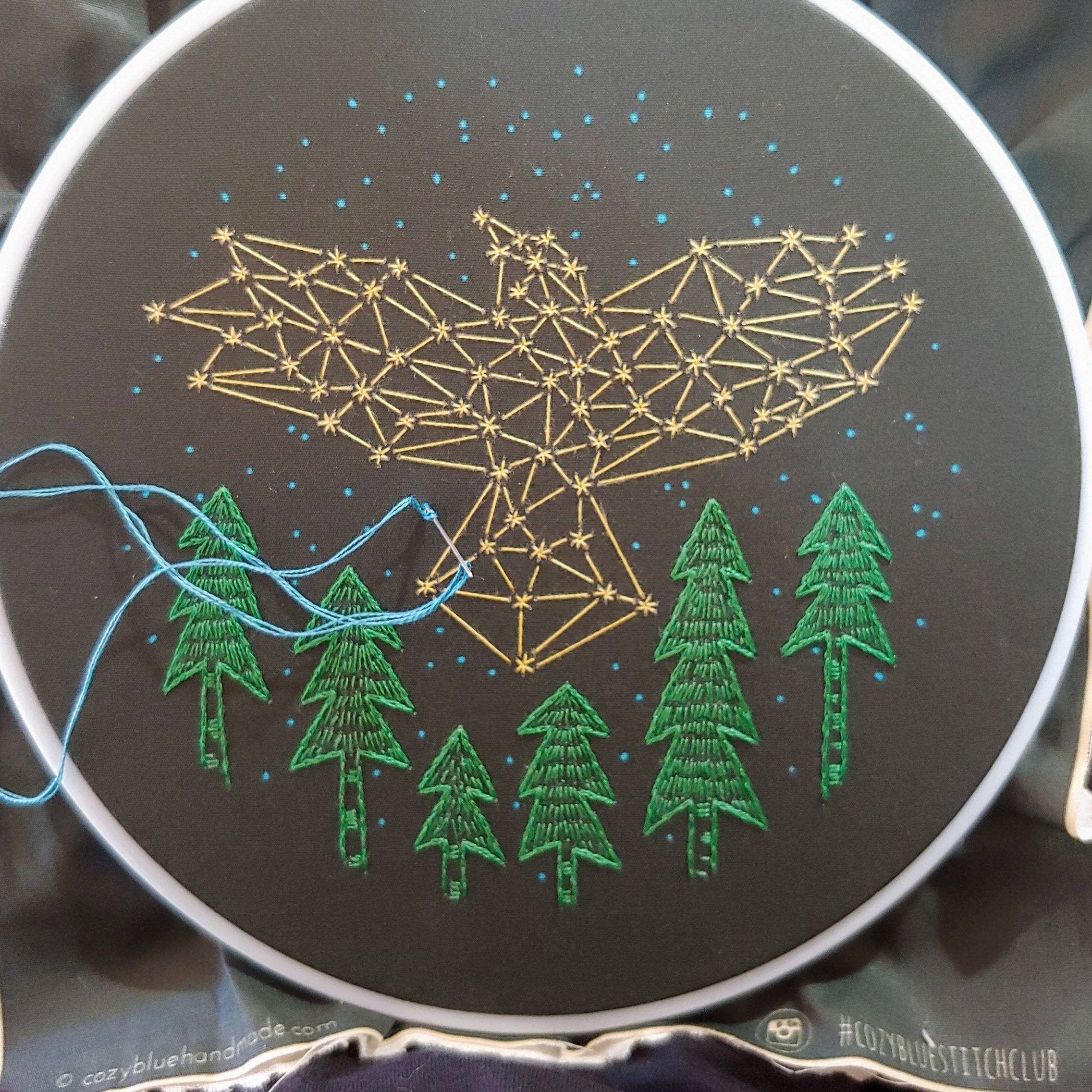 The Crow Embroidery Kit - Image 6