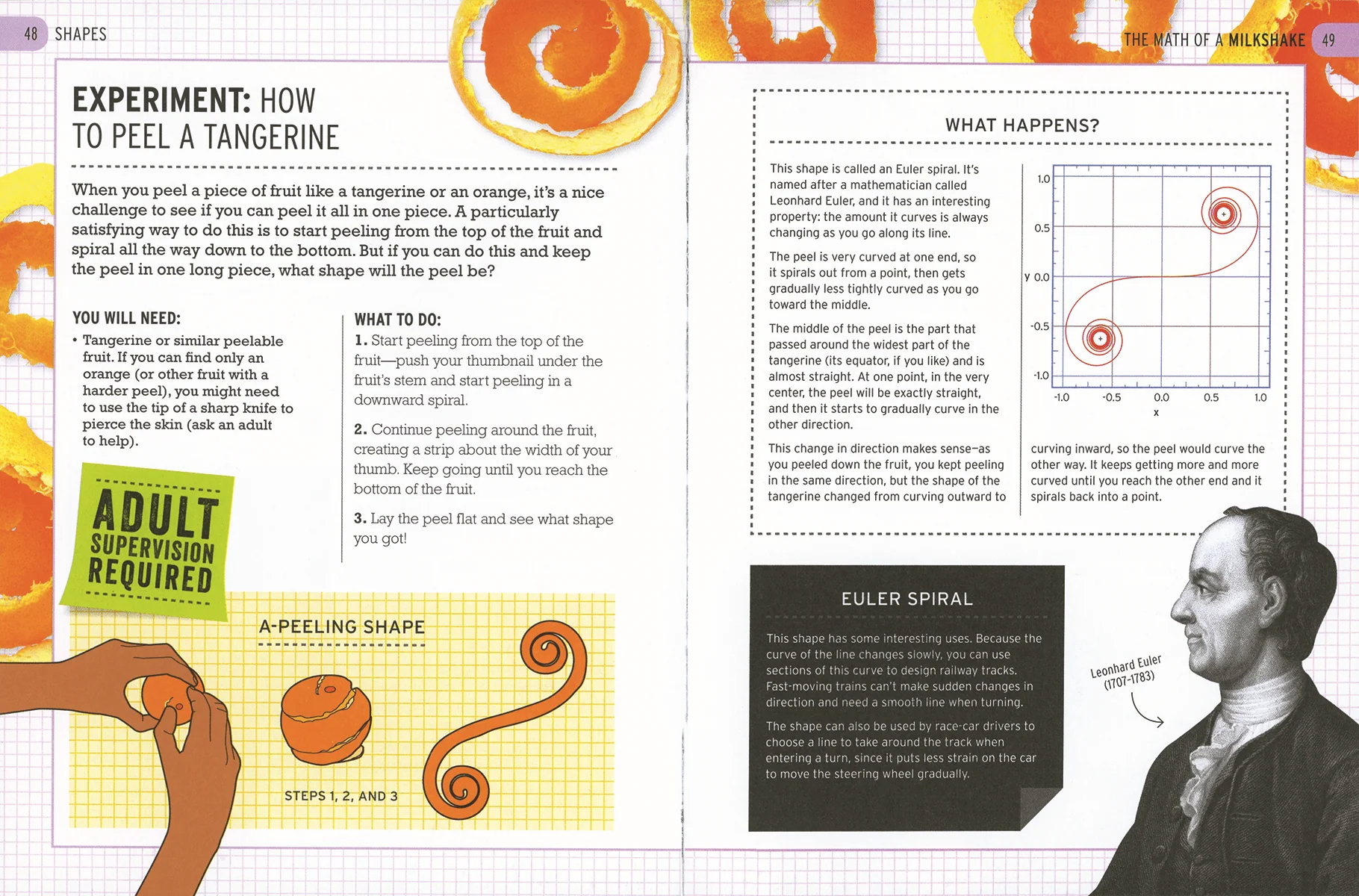 The Curious World of Kitchen Science: Math of a Milkshake - Image 2