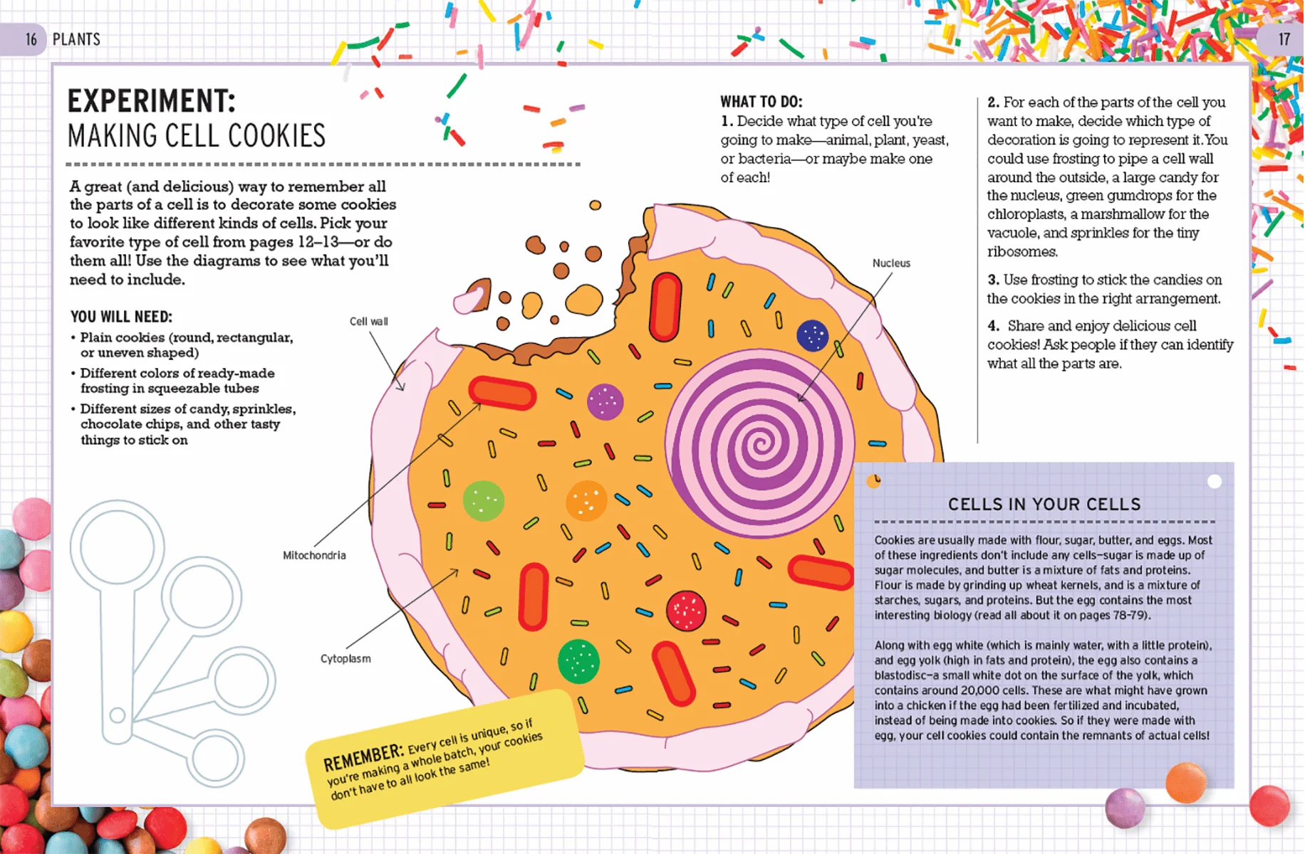 The Curious World of Kitchen Science: The Biology of Bananas - Image 2