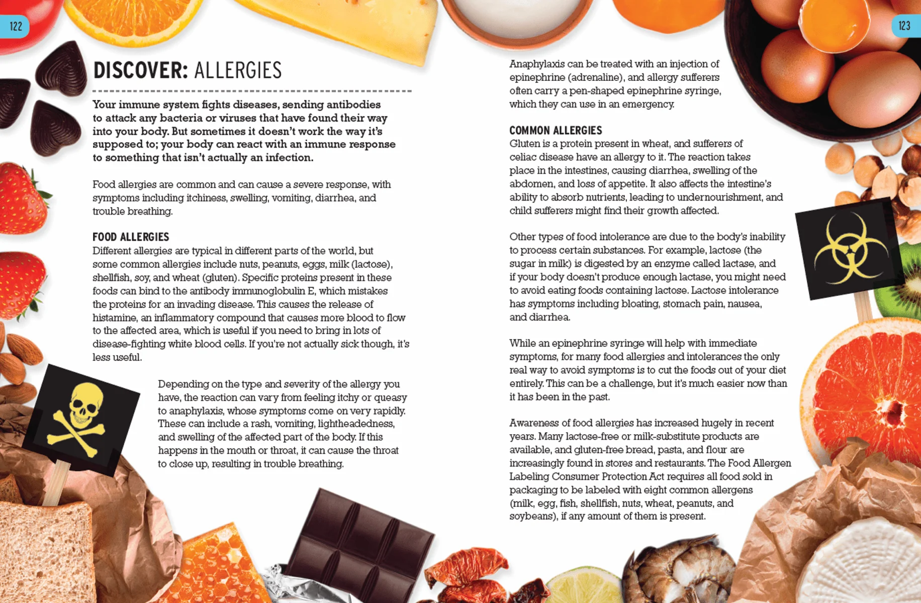 The Curious World of Kitchen Science: The Biology of Bananas - Image 3