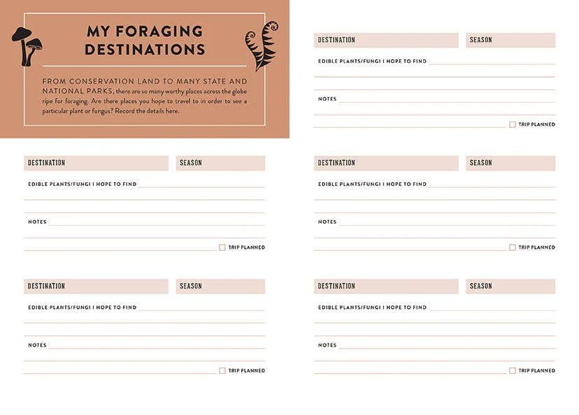 The Forager's Journal - Image 8