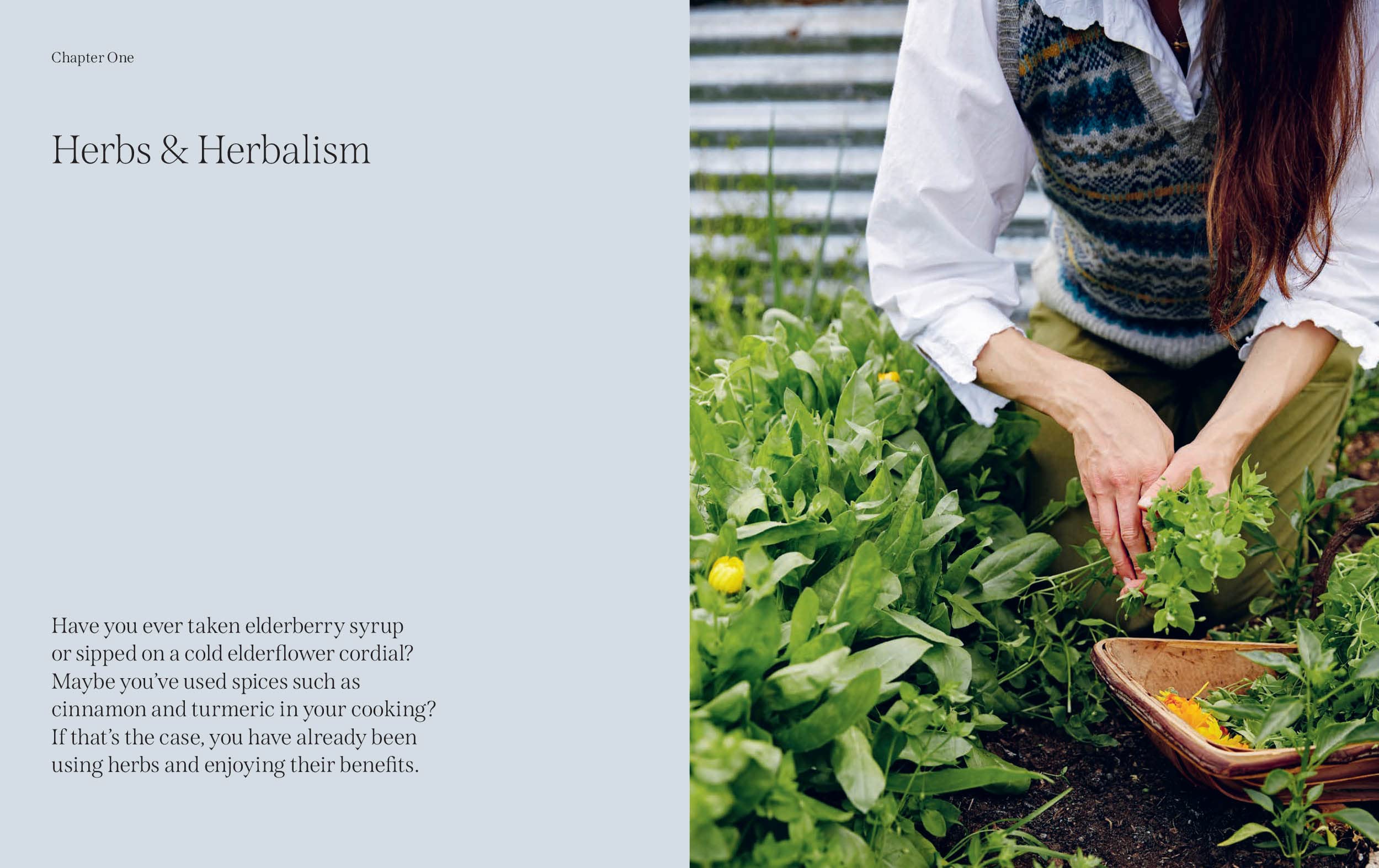 The Garden Apothecary - Image 2